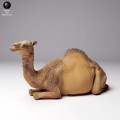 35130260_dromedary-camel-female-3.jpg