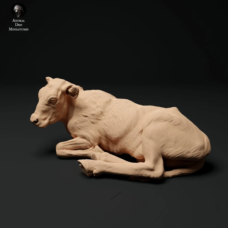 35130338_red-devon-calf-lying-1.jpg
