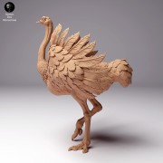 35130262_ostrich-1.jpg