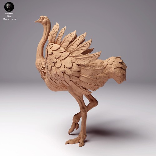 35130262_ostrich-1.jpg