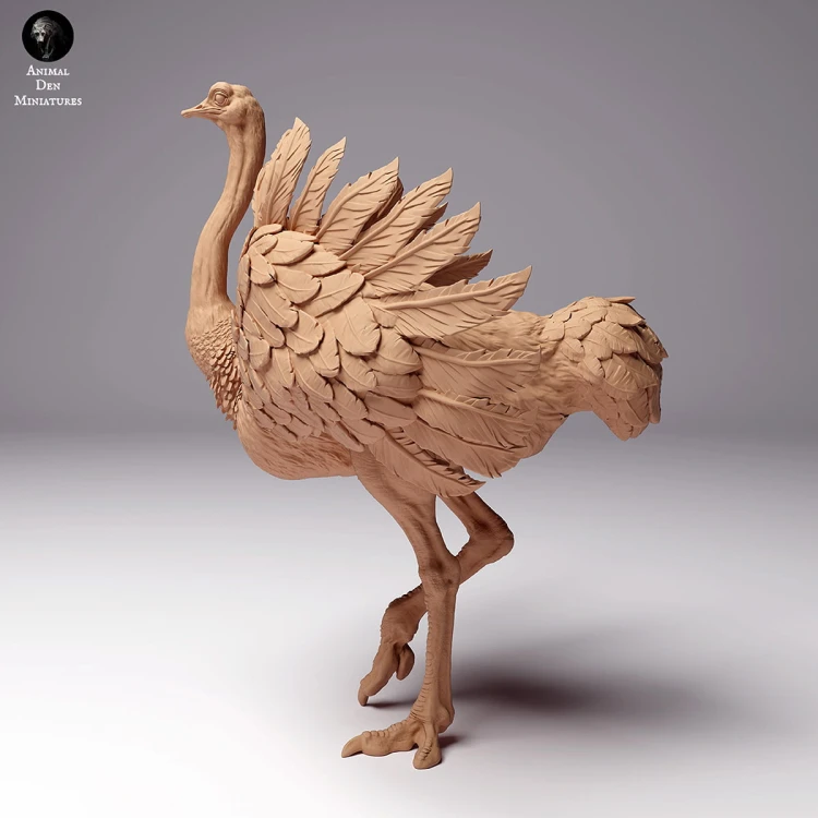 35130262_ostrich-1.jpg