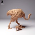 35130263_ostrich-female-with-chick-2.jpg