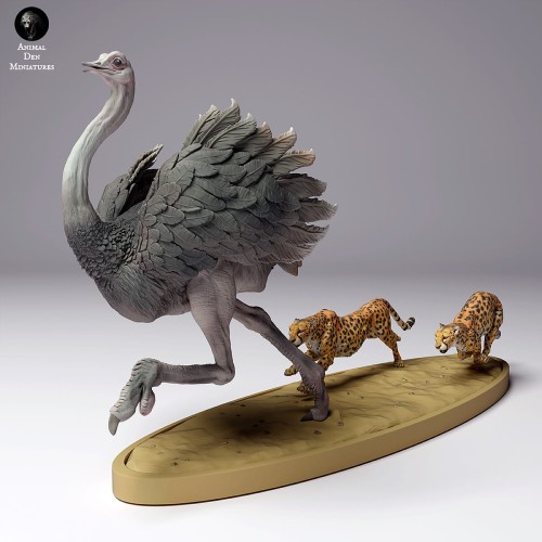 35130264_ostrich-vs-cheetah-3.jpg