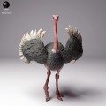35130262_ostrich-3.jpg