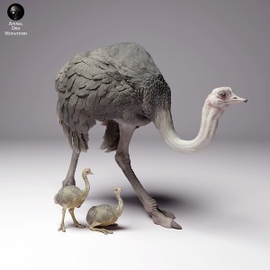 North african ostrich - female with chicks - set - 1:48