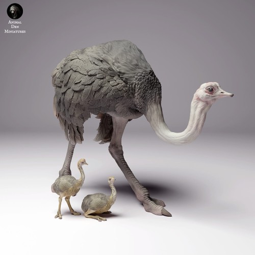 35130263_ostrich-female-with-chick-3.jpg
