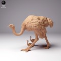 35130263_ostrich-female-with-chick-1.jpg