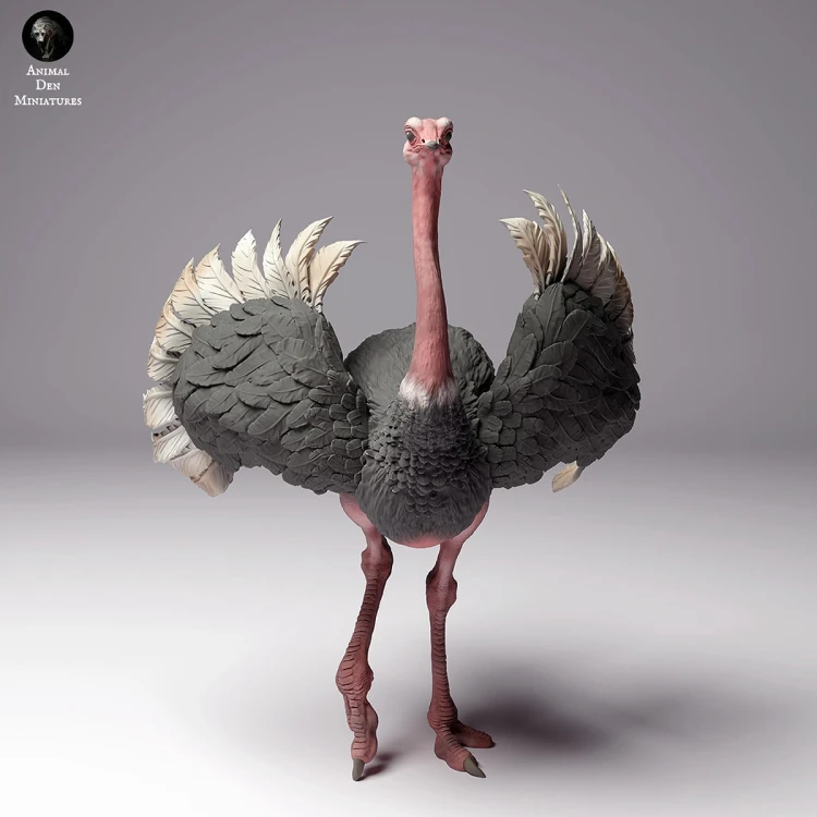 35130262_ostrich-3.jpg