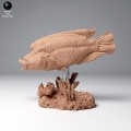 99161102_napoleon_wrasse2_2.jpg