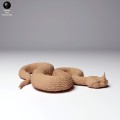 35130265_horned-viper-2.jpg