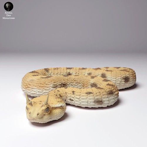 35130265_horned-viper-3.jpg