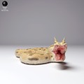 99161106_horned-viper-bite-3.jpg