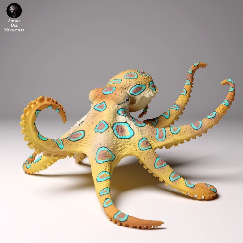 99161108_blue-ringed-octopus-swim-3.jpg