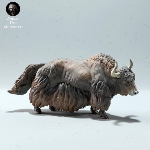 35130601_wild-yak-neutral-1.jpg