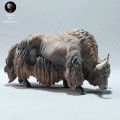 35130602_wild-yak-grazing-2.jpg