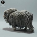 35130604_muskox-second-4.jpg