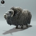 35130605_muskox-1.jpg