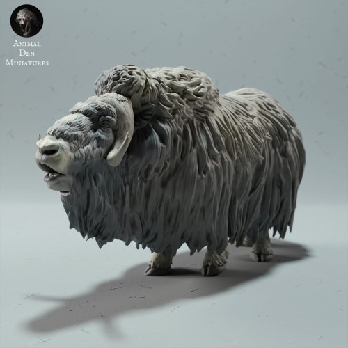 35130605_muskox-1.jpg
