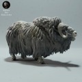 35130605_muskox-2.jpg