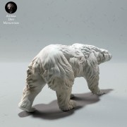 35130609_polar-bear-walk-4.jpg