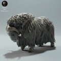 35130604_muskox-second-1.jpg