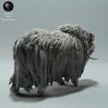 35130604_muskox-second-3.jpg