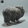 35130605_muskox-3.jpg