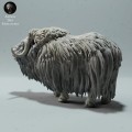 35130605_muskox-4.jpg