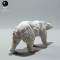 35130609_polar-bear-walk-4.jpg