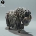 35130604_muskox-second-2.jpg