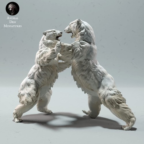 35130611_polar-bears-fight-1.jpg