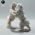 35130611_polar-bears-fight-3.jpg