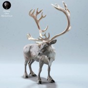 35130612_reindeer-stag-4.jpg