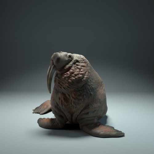 35130616_walrus_1.jpg