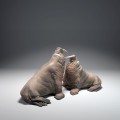 35130618_walrus-fight_3.jpg