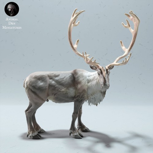35130612_reindeer-stag-1.jpg
