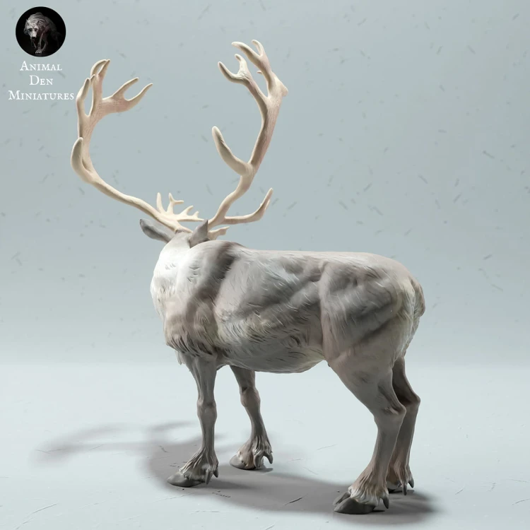 35130612_reindeer-stag-3.jpg