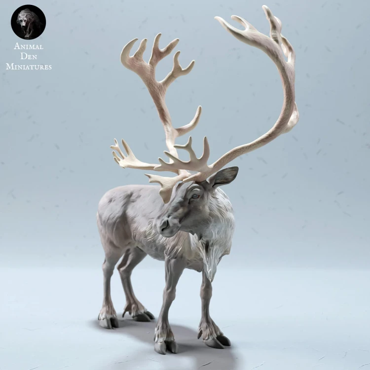 35130612_reindeer-stag-4.jpg