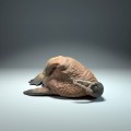 35130617_walrus-sleep_1.jpg
