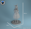 Pekomama_Measurements.png