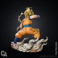 gokup4.jpg