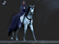 R1.png
