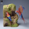 35130528_macaws_3.jpg