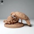 35130267_hawksbill_turtle_feed_1.jpg