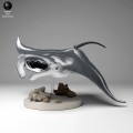 35130270_reef_manta2_3.jpg