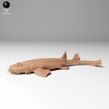 35130271_spotted_wobbegong_2.jpg