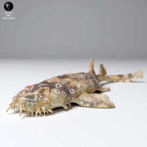 Rekin wobbegong plamisty - płynący - 1 sztuka - 1:35
