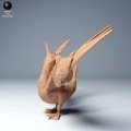 blue_footed_booby_dance_1.jpg