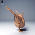 blue_footed_booby_dance_2.jpg