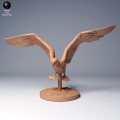 blue_footed_booby_fly_2.jpg
